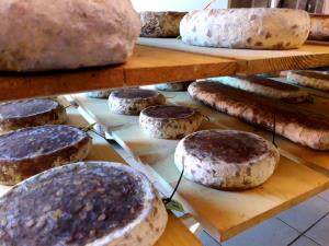 Počitniška hiška Kašta